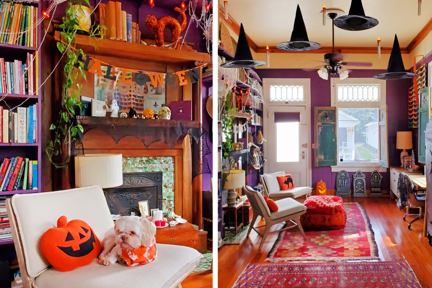 Halloween decorations for inside on sale the house